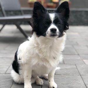 Meet your Posher, Blake